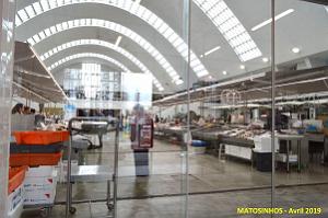 0508 Porto Matosinhos